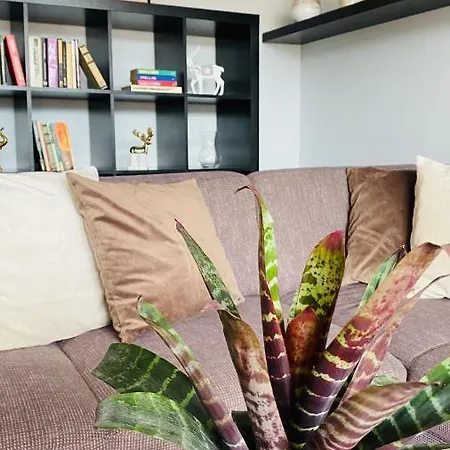 Mira Apartment